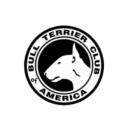 Registered bull terrier Puppies  logo